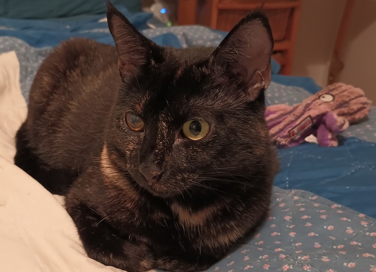 She loves her purple octopus.